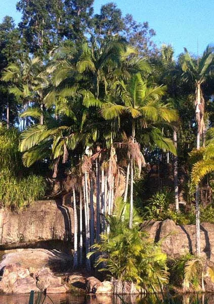 Rockhampton