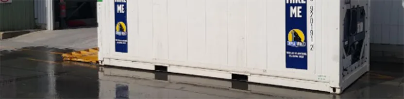 Container